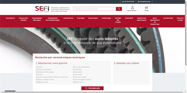 Page site e-commerce B2B de SEFI